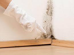  , USA Mold Prevention & Removal Pros